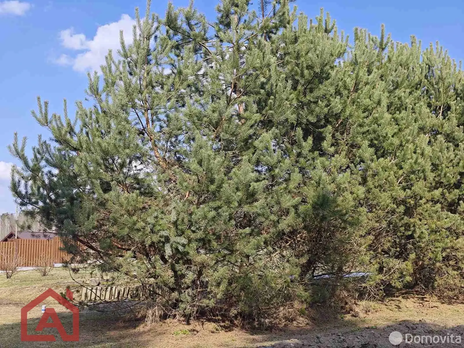 Цена продажи участка, Мочаны, ул. Заречная, д. 33Б