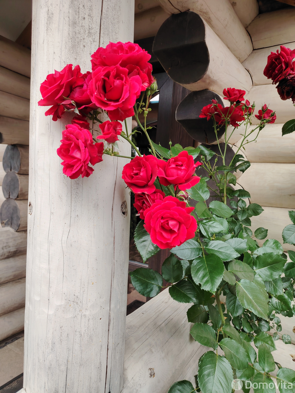 коттедж на сутки, Воложин, ул. Франциска Скорины, д. 1 