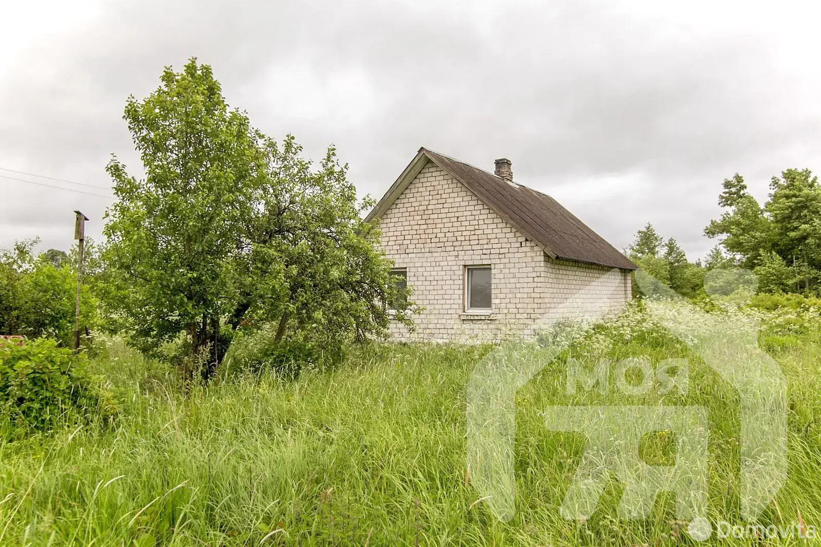 дом, Илья, ул. Вилейская 