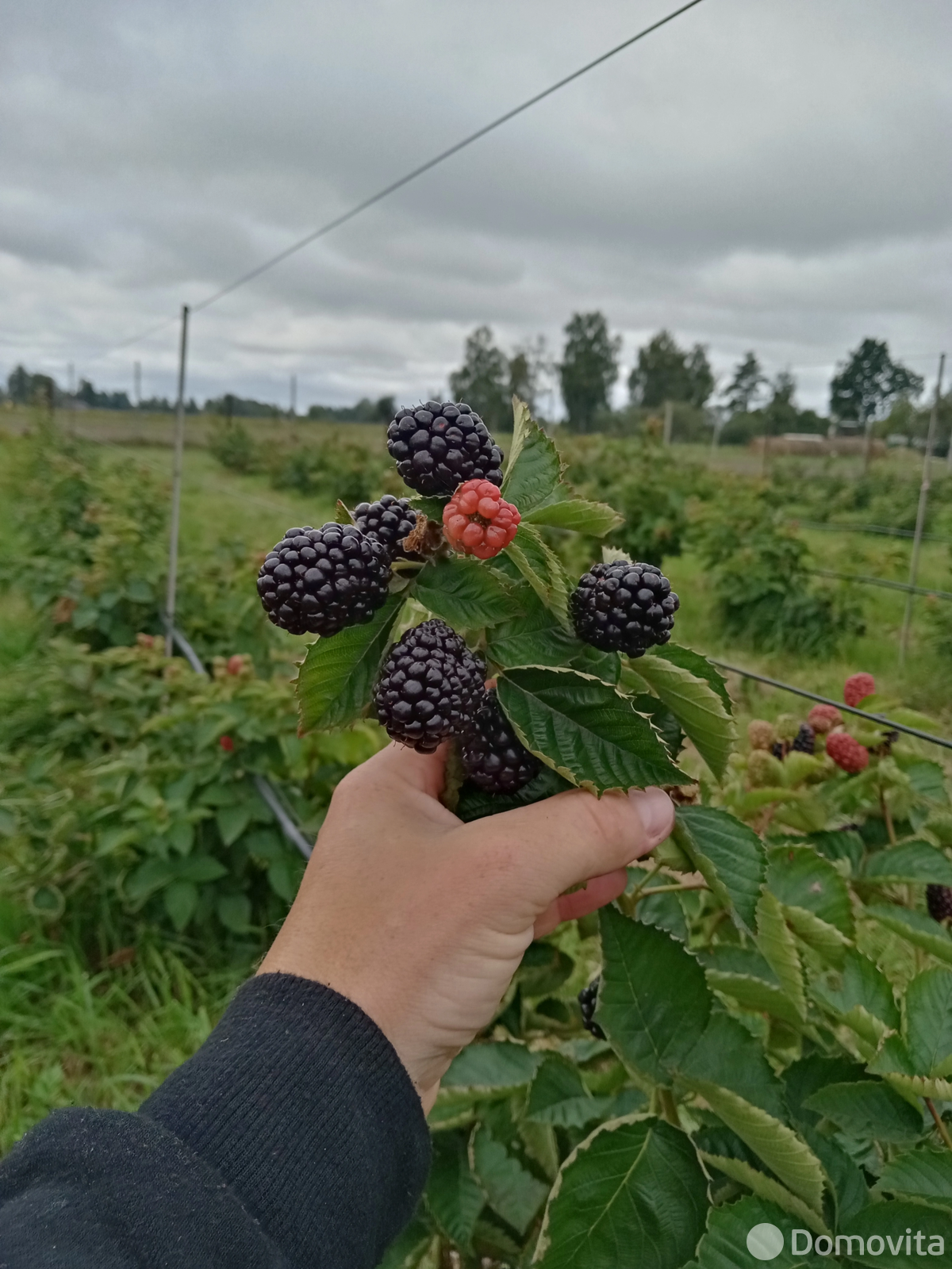 Стоимость продажи коттеджа, Ляховцы, ул. Комсомольская, д. 56