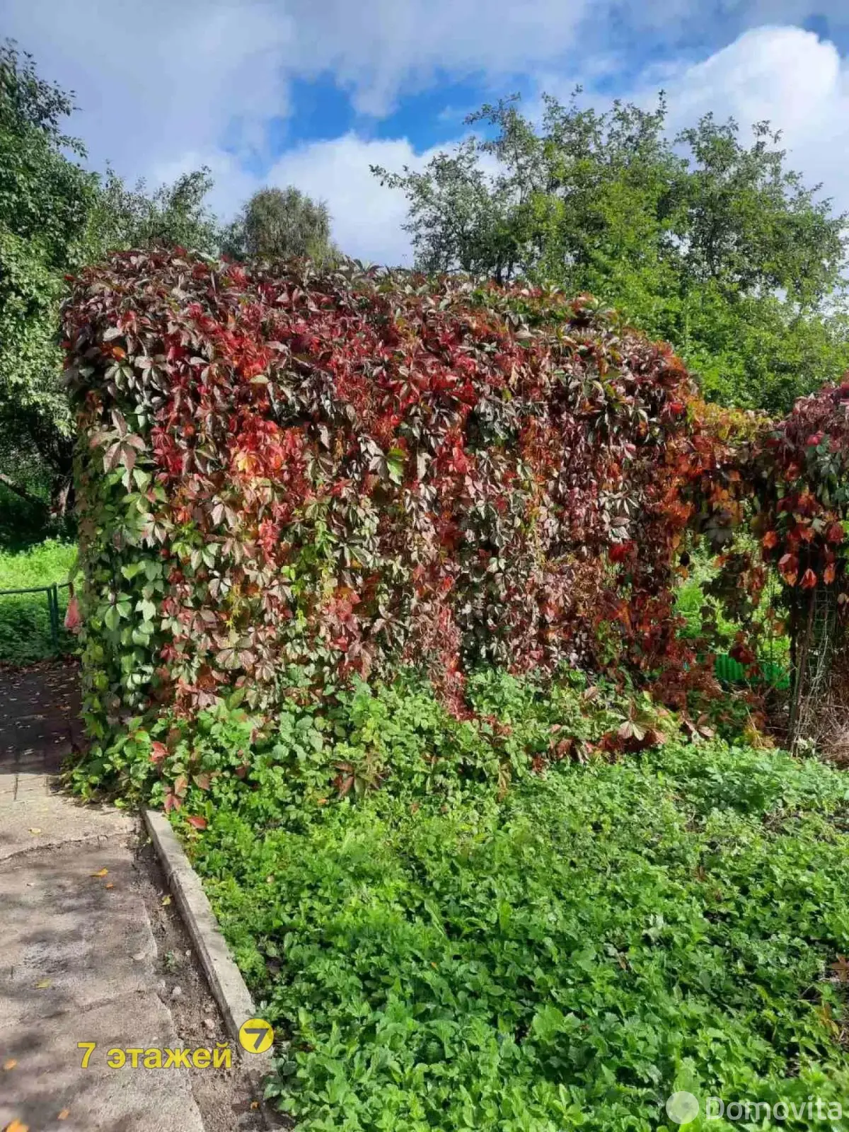 Продажа 2-этажной дачи в Нива-2002 Минская область, 44900USD, код 177134 - фото 23