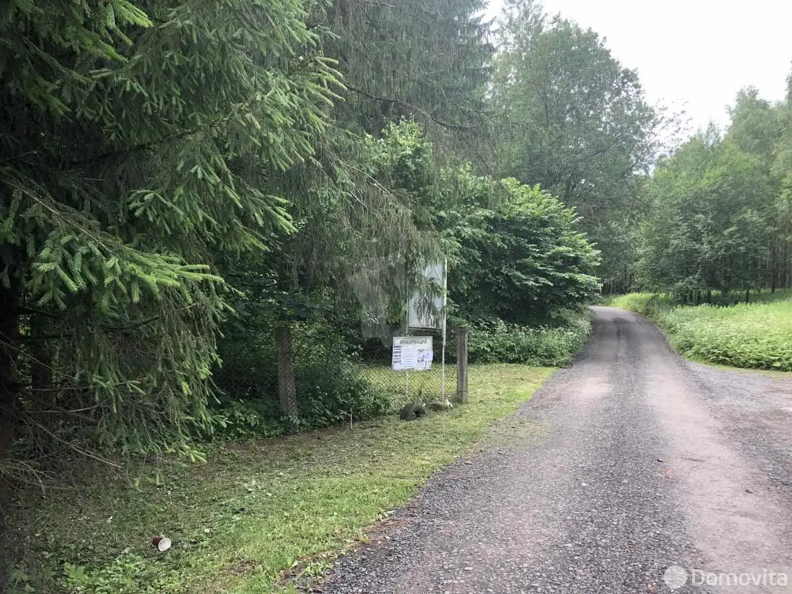 Купить земельный участок, 10 соток, Зодиак-Ворот, Минская область, 11000USD, код 570722 - фото 15