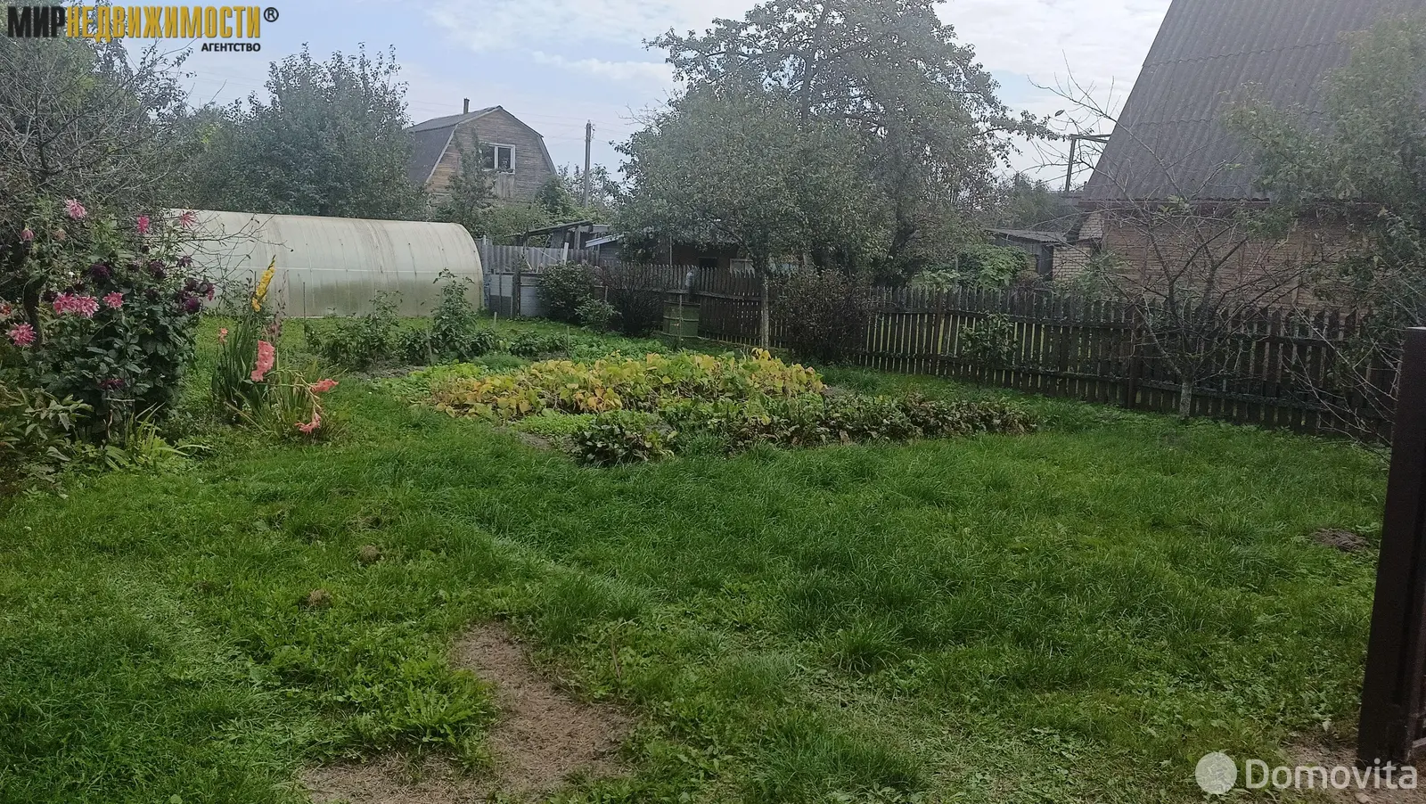 дача, Елочка, 