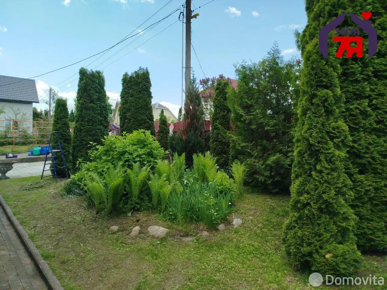 дача, Вишня, 