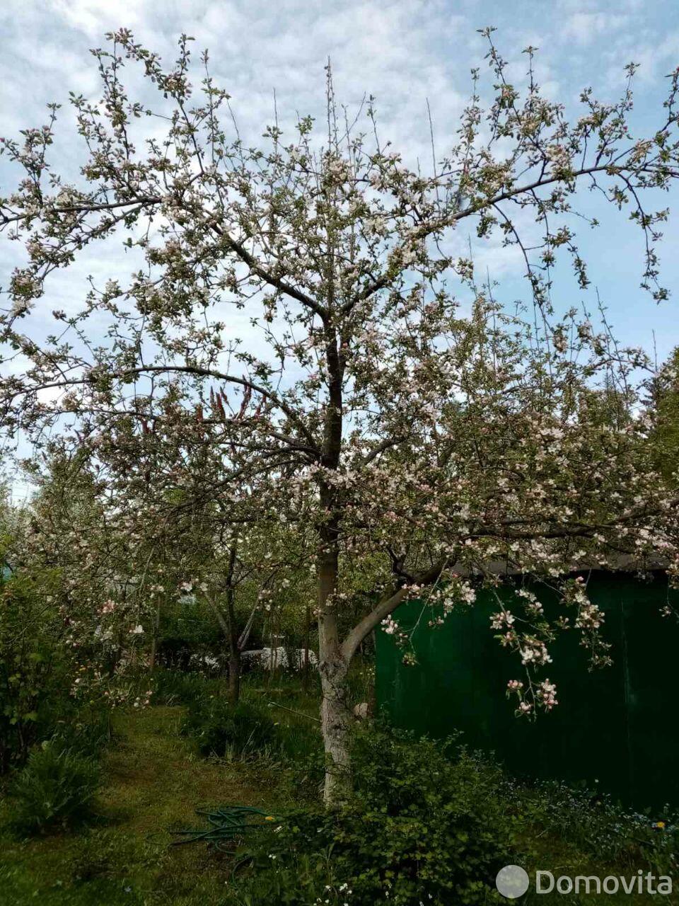 Цена продажи дачи, Родник, 