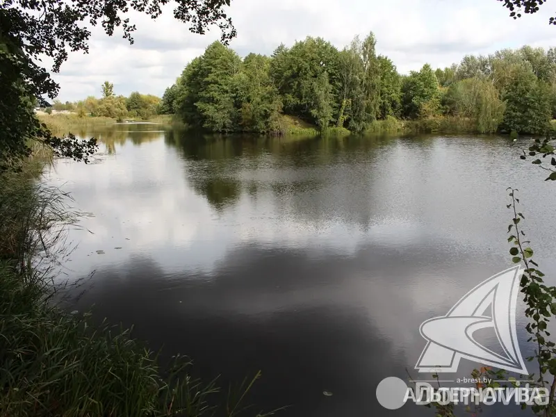 Купить земельный участок, 25 соток, Бульково, Брестская область, 359000BYN, код 572575 - фото 18