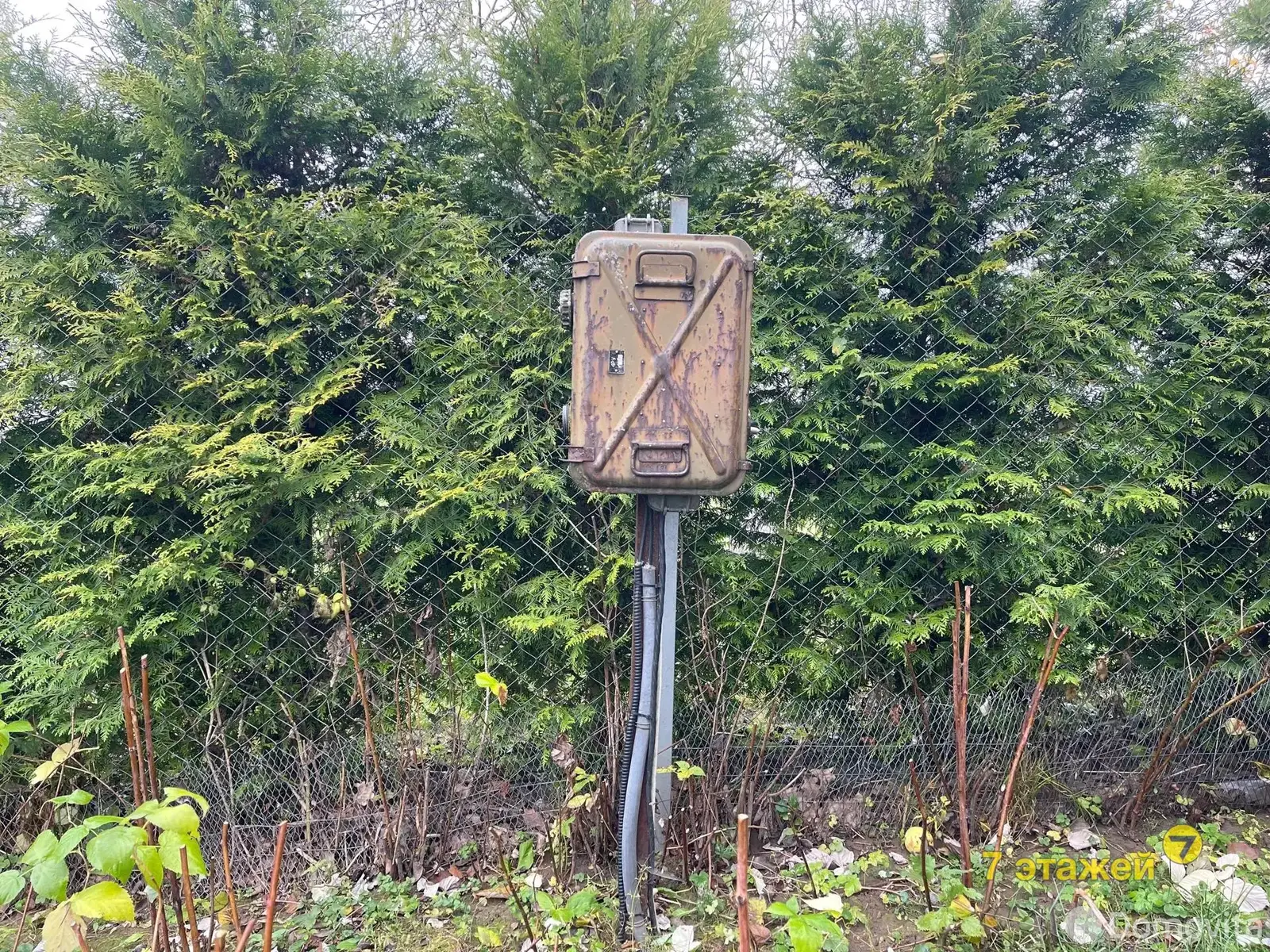 Купить земельный участок, 15.78 соток, Чики, Минская область, 44000USD, код 571232 - фото 21