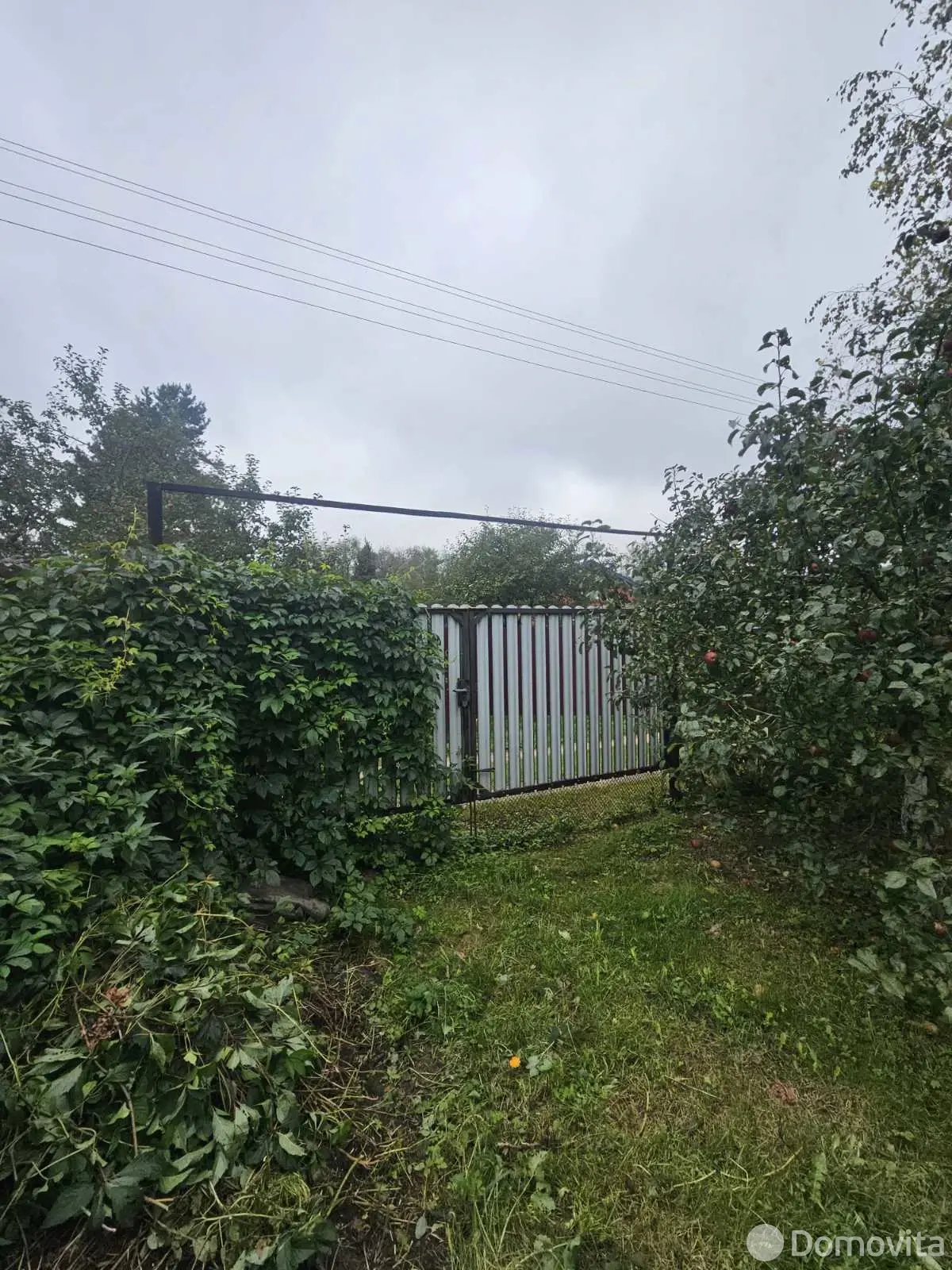 Продажа 2-этажной дачи в Витебске Витебская область, 17000USD, код 184164 - фото 3