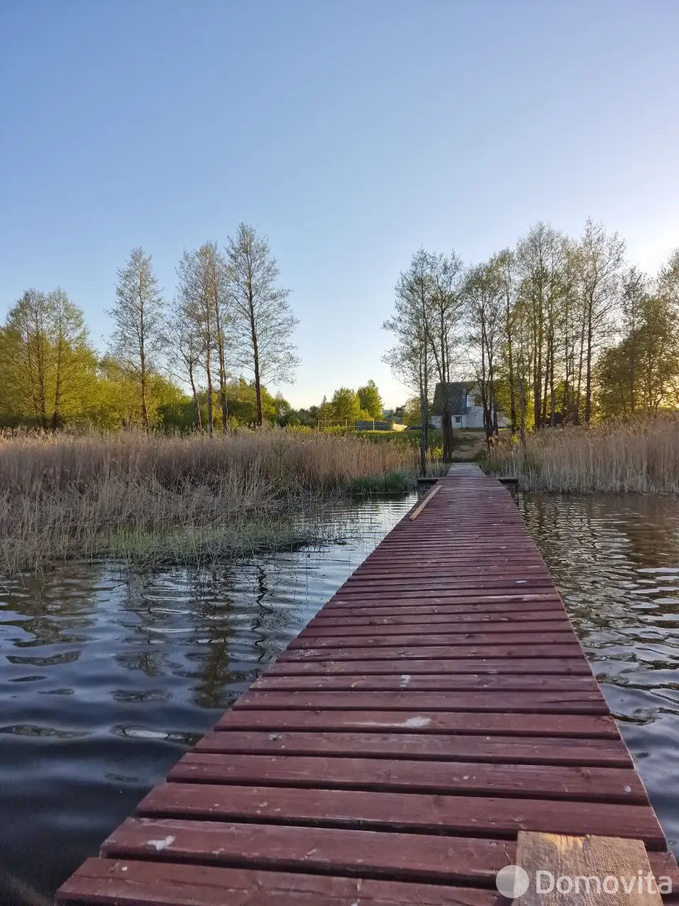 объект сферы услуг, Дуниловичи, ул. 60 лет Октября 