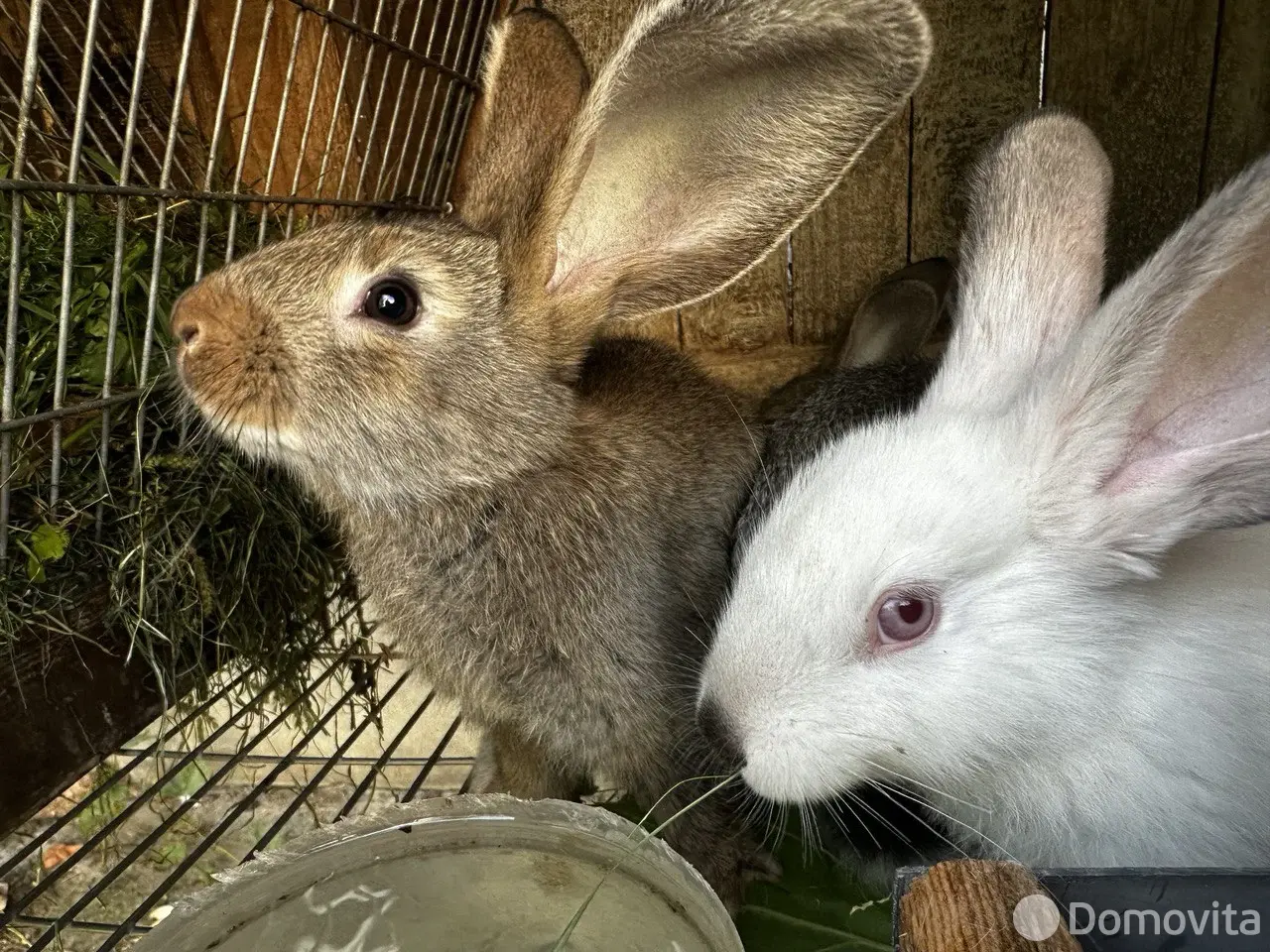  Коттедж Раиса на сутки в Бресте ул. Вересковая 6-я, д. 18, 450BYN, код 1431 - фото 19