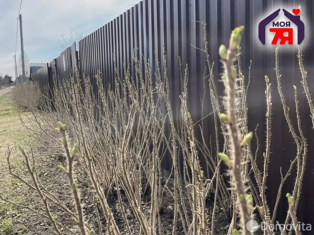 Купить земельный участок, 7.52 соток, Новые земли, Минская область, 21900USD, код 571838 - фото 19