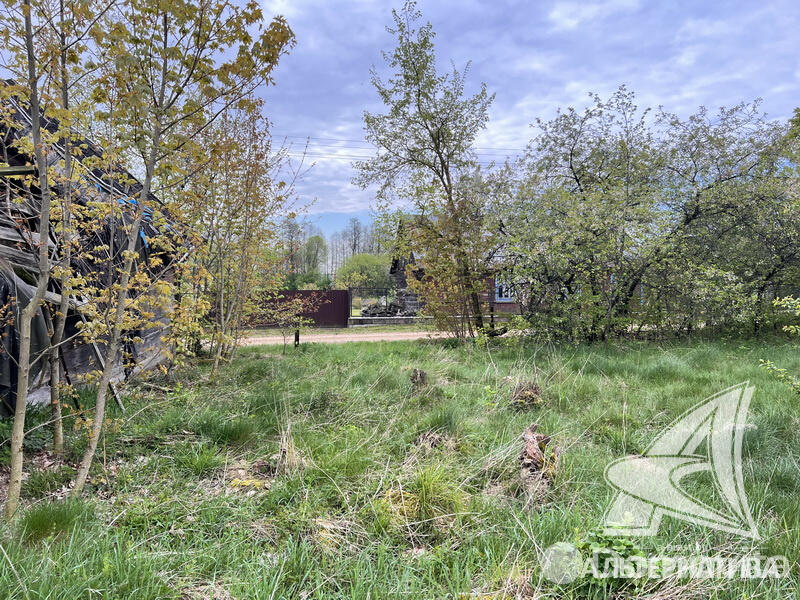 Купить земельный участок, 20.46 соток, Турна Большая, Брестская область, 10500USD, код 567787 - фото 16