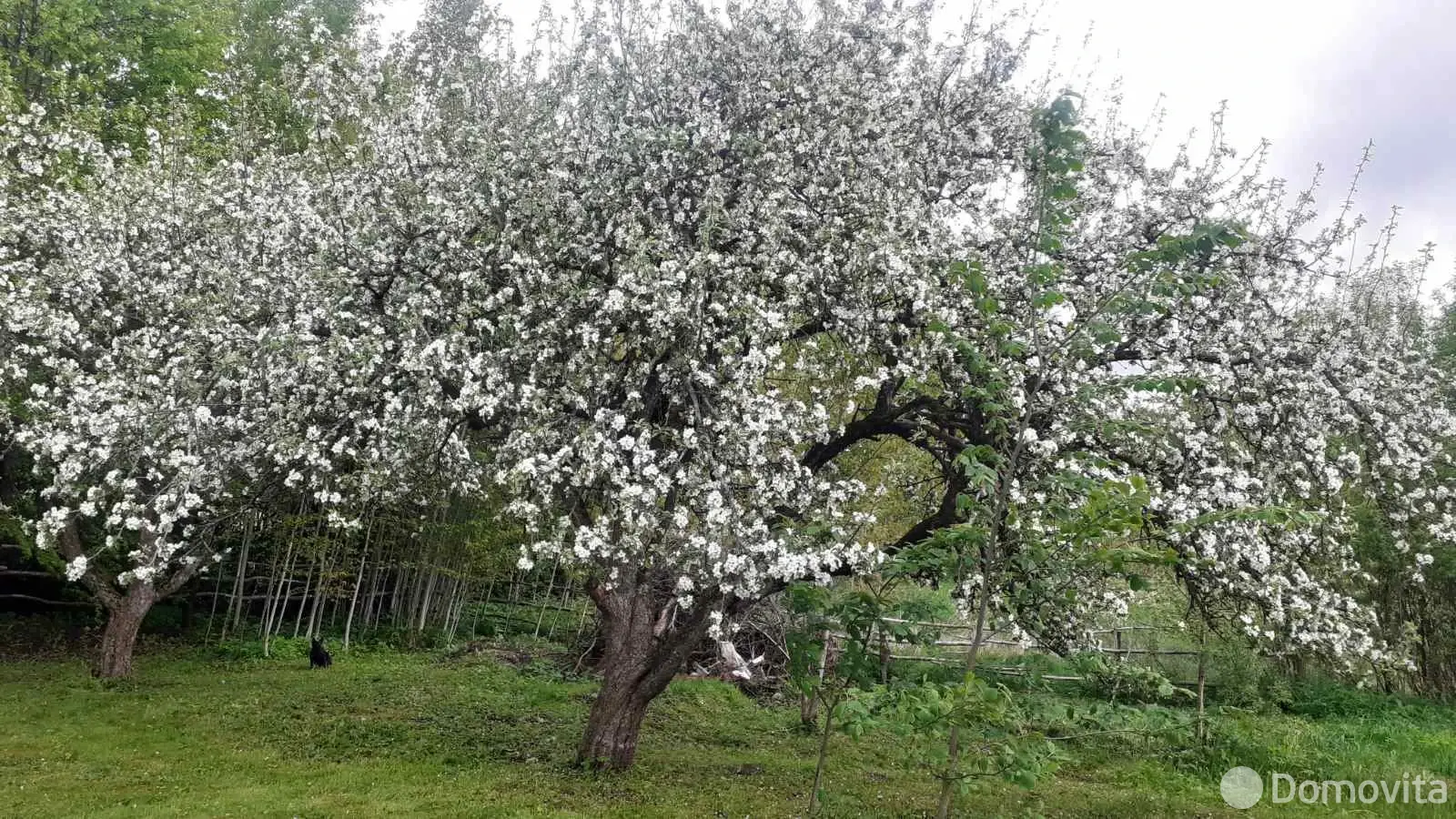 Цена продажи дома, Замосточье, ул. Песочная