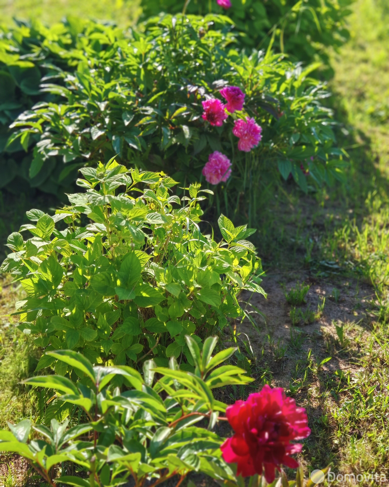 Купить 2-этажную дачу в Лесное-90 Минская область, 35000USD, код 185146 - фото 32