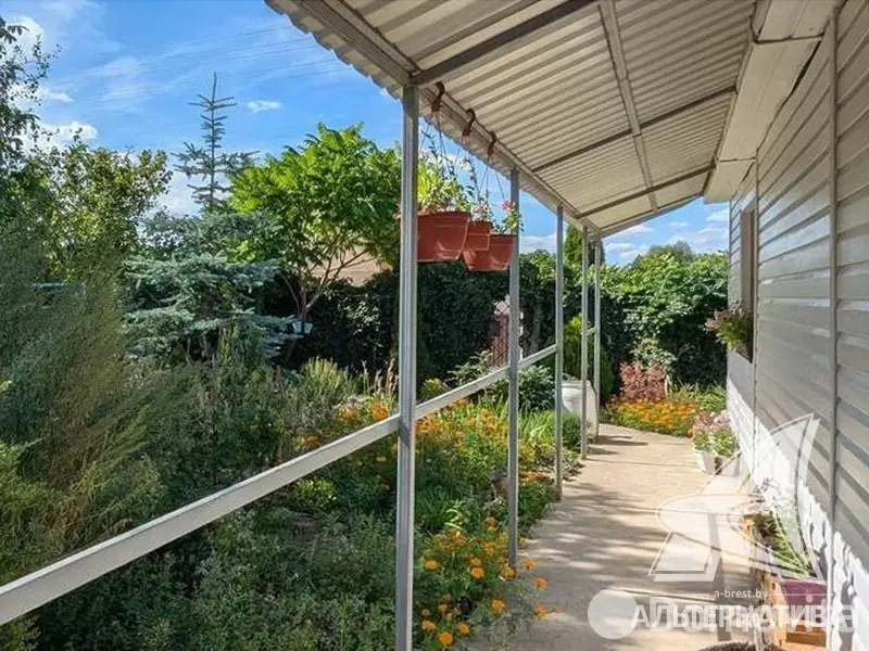 дом, Дружба, 