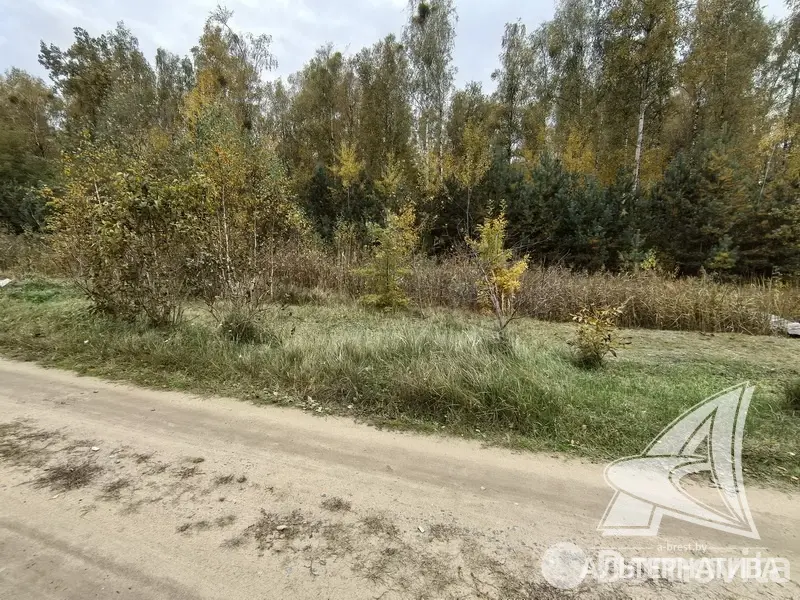 Продажа 1-этажной дачи в Березка-87 Брестская область, 13800USD, код 184383 - фото 20