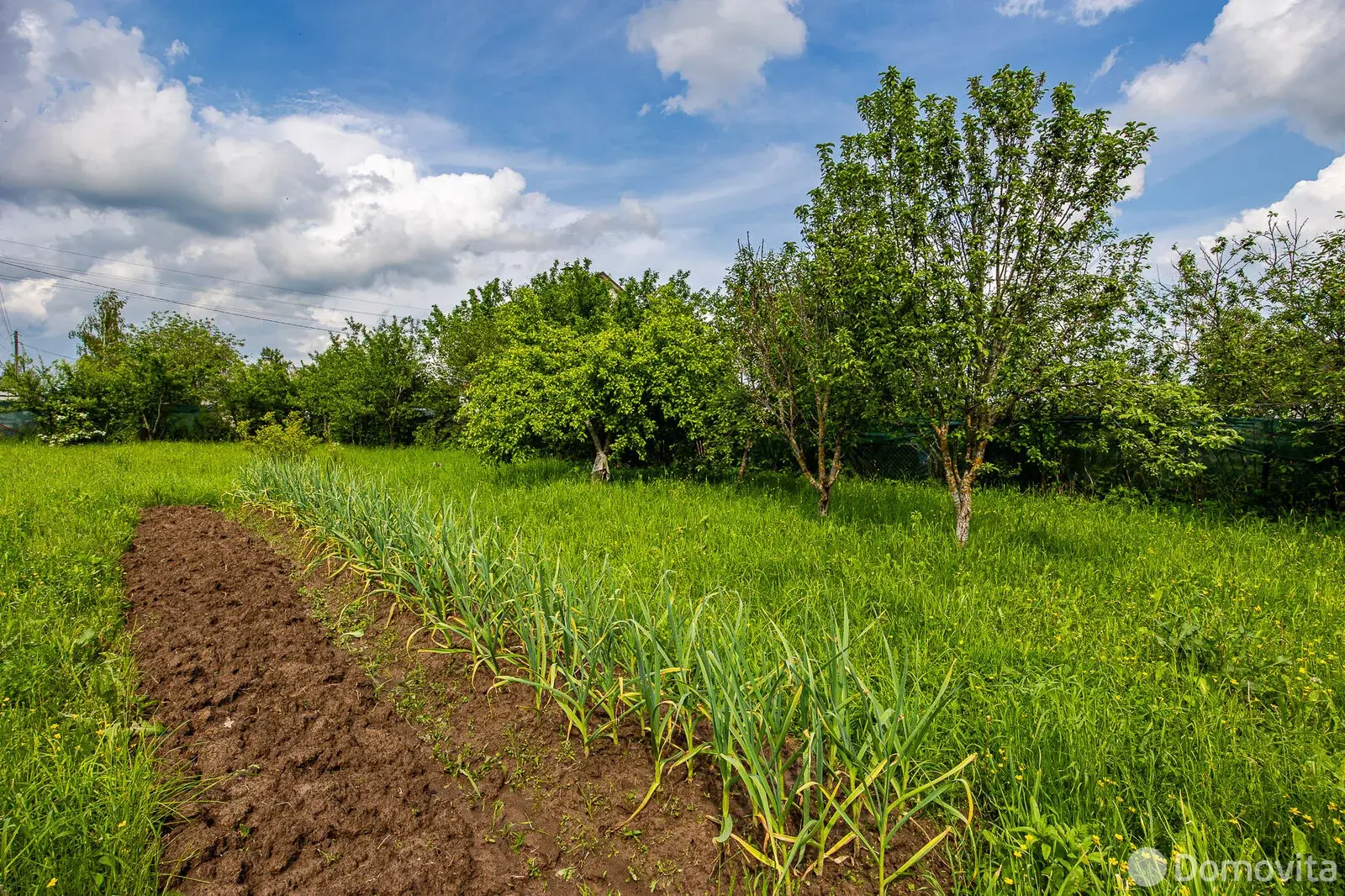 дача, Свитанак-Перхурово, 