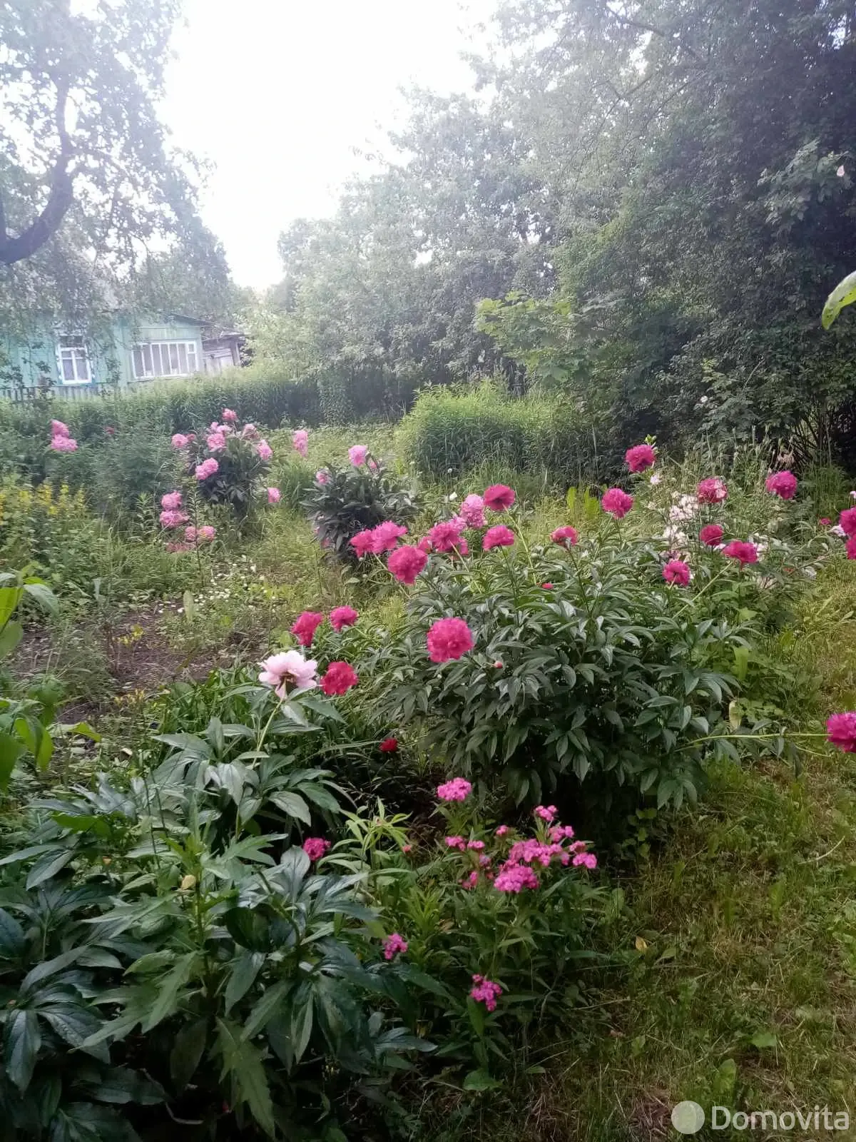 коттедж, Орша, пер. Климента Тимирязева