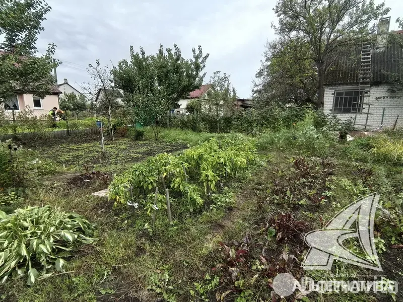 дача, Керамик-1, 