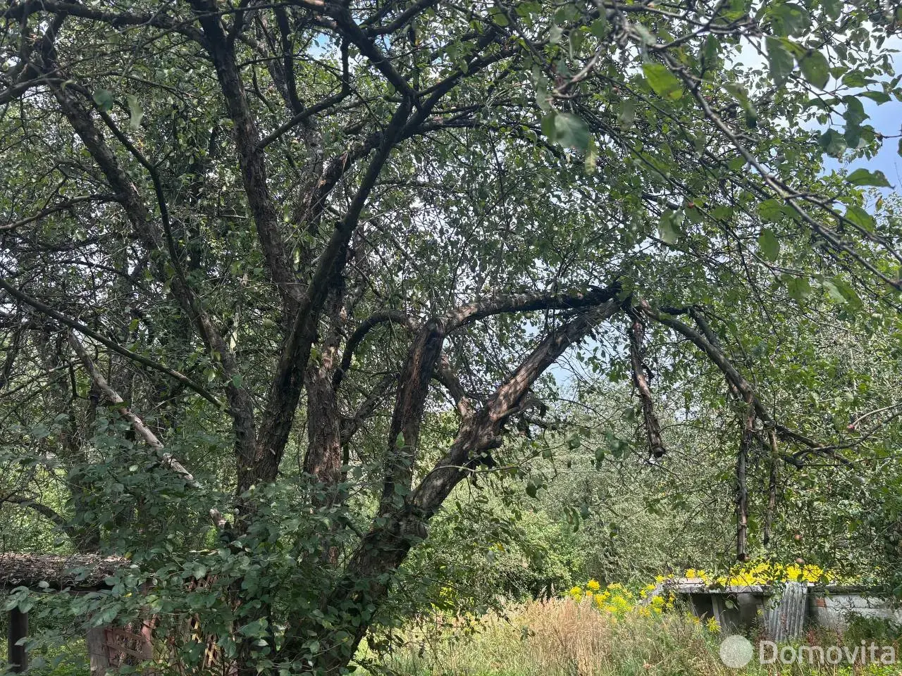 Продажа 1-этажной дачи в Заря-81 Минская область, 3000USD, код 183880 - фото 17