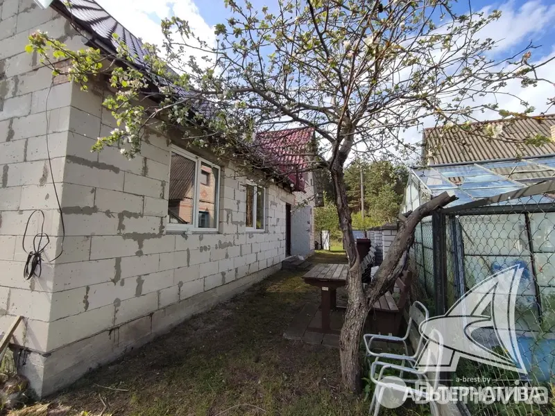 Продажа 2-этажной дачи в Отдых Брестская область, 34000USD, код 177968 - фото 29