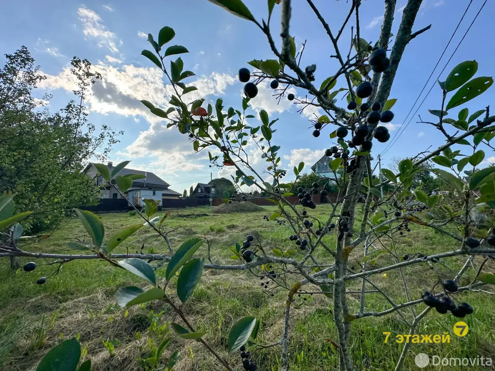 Купить земельный участок, 10.23 соток, ВЕРЯГИ, Минская область, 16000USD, код 571005 - фото 7