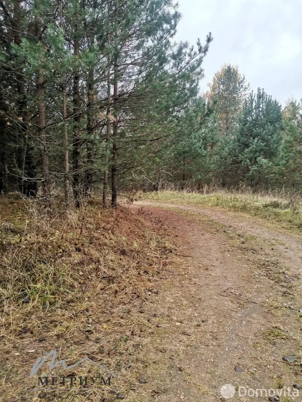 дом, Чечели, ул. Озёрная