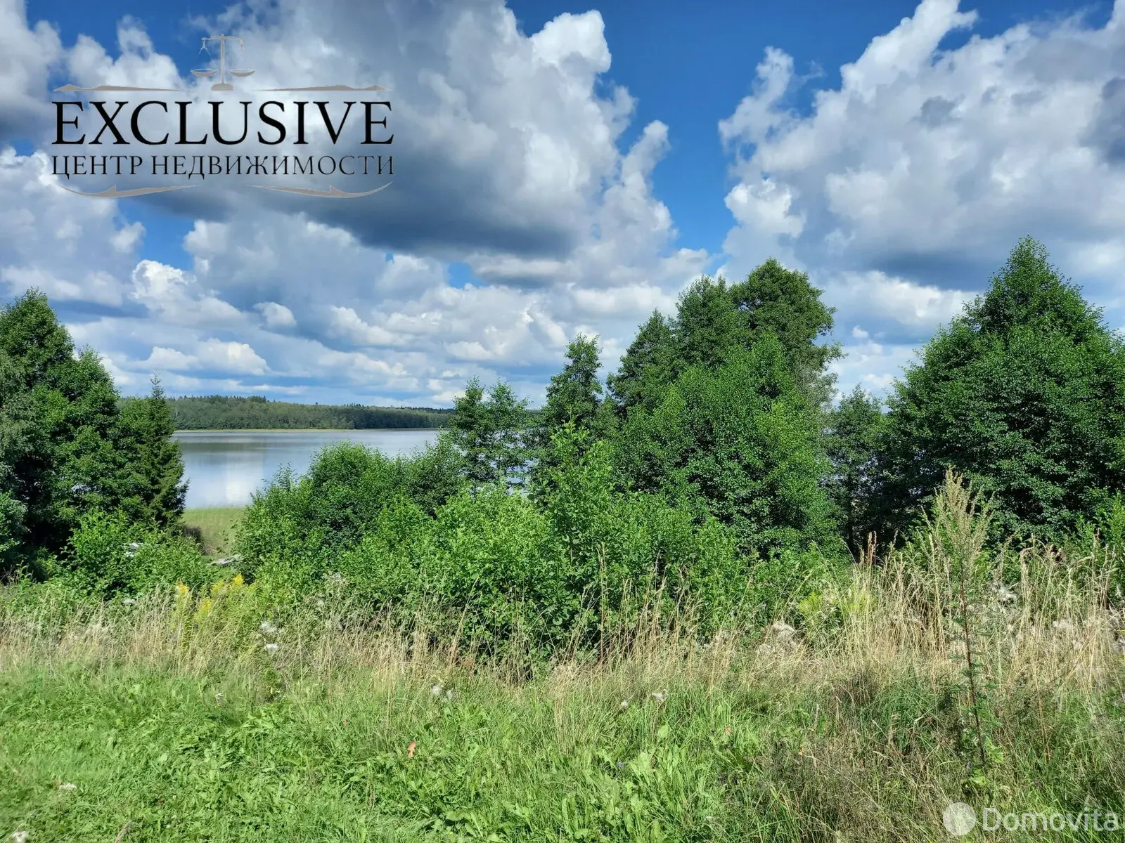 купить дом, Большое Ситно, д. 19