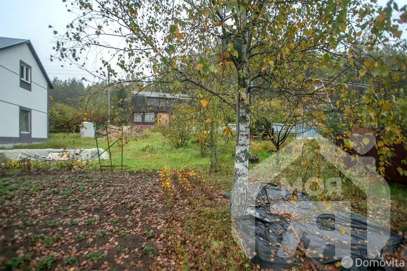 участок, Западная Березина,