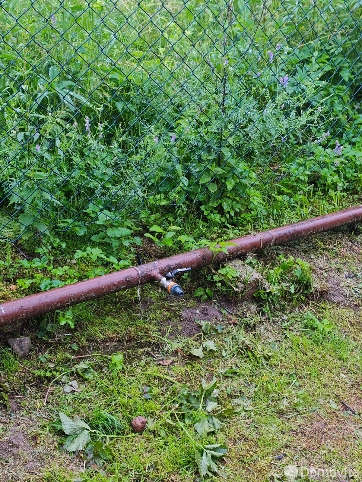 Купить 1-этажную дачу в ТЕПЛОЭНЕРГЕТИК Минская область, 21000BYN, код 186573 - фото 20