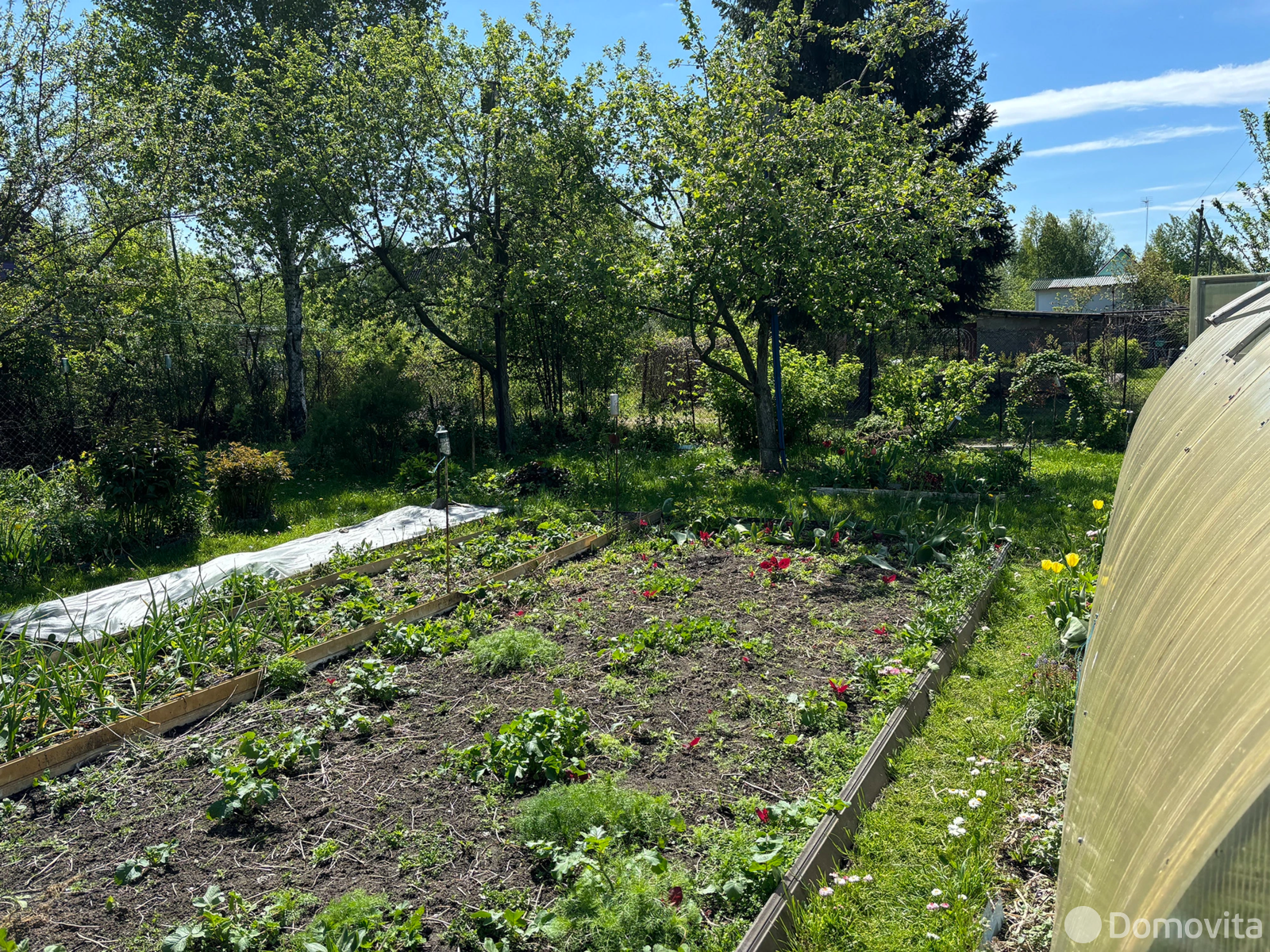 Продажа 1-этажной дачи в Голубика Минская область, 5250USD, код 182859 - фото 29