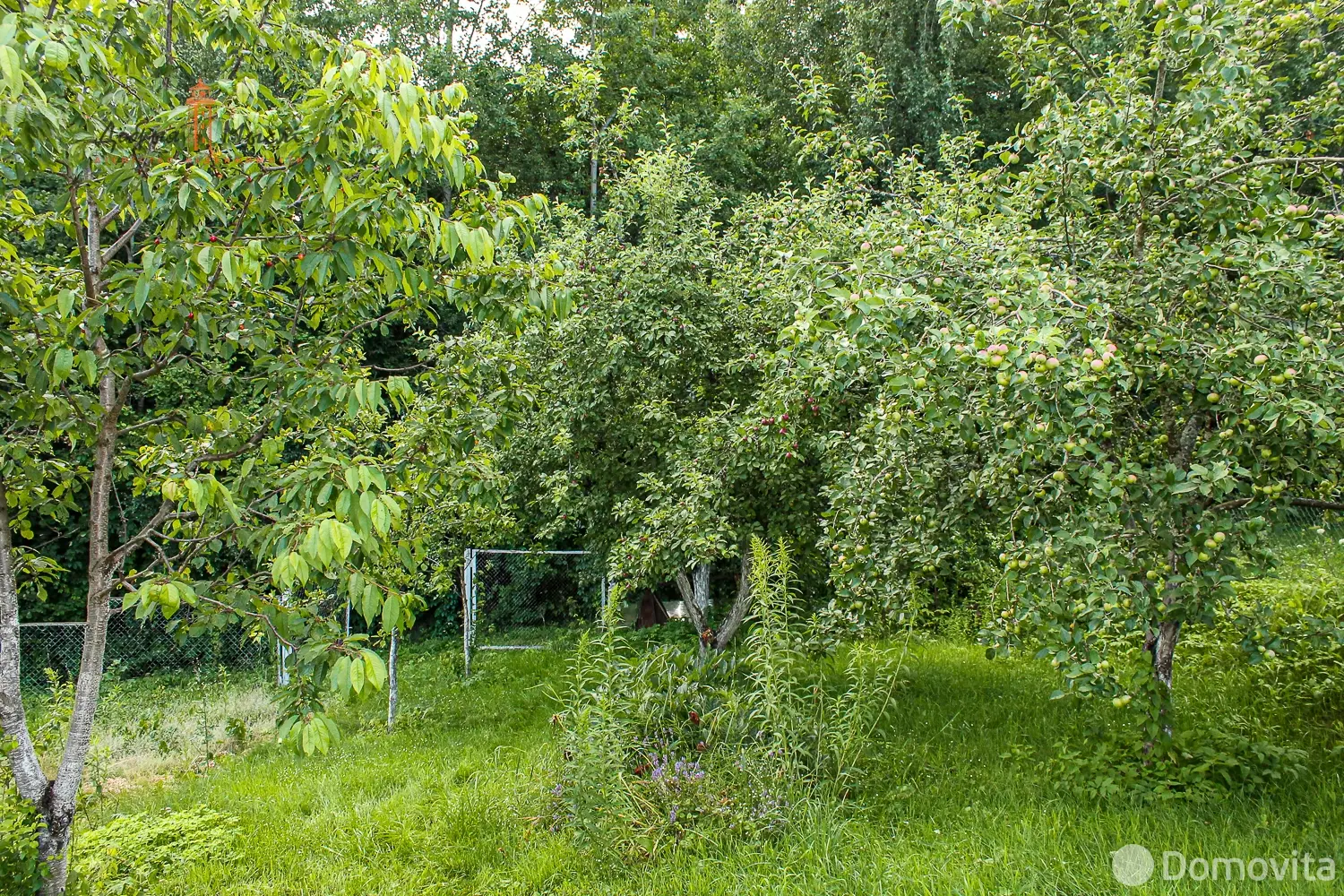 Продажа 3-этажной дачи в Тонус Минская область, 80000BYN, код 186498 - фото 25