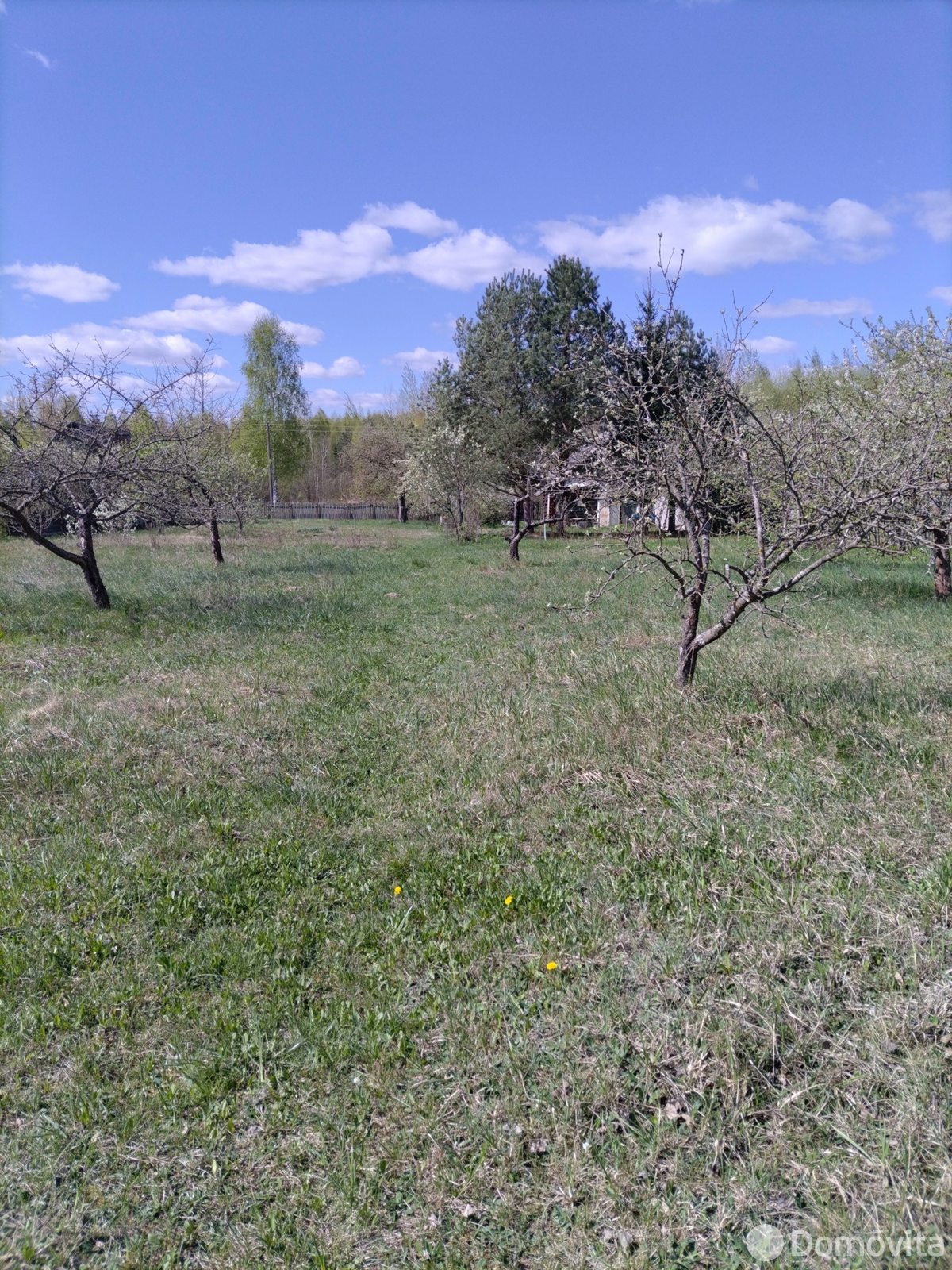 Купить земельный участок, 25 соток, Юрьево, Минская область, 12000USD, код 571198 - фото 12