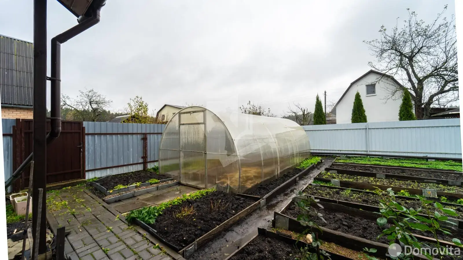 дача, Шарик,