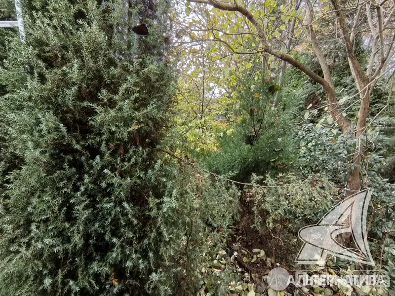 Продажа 1-этажной дачи в Машиностроитель Брестская область, 42000USD, код 184448 - фото 24