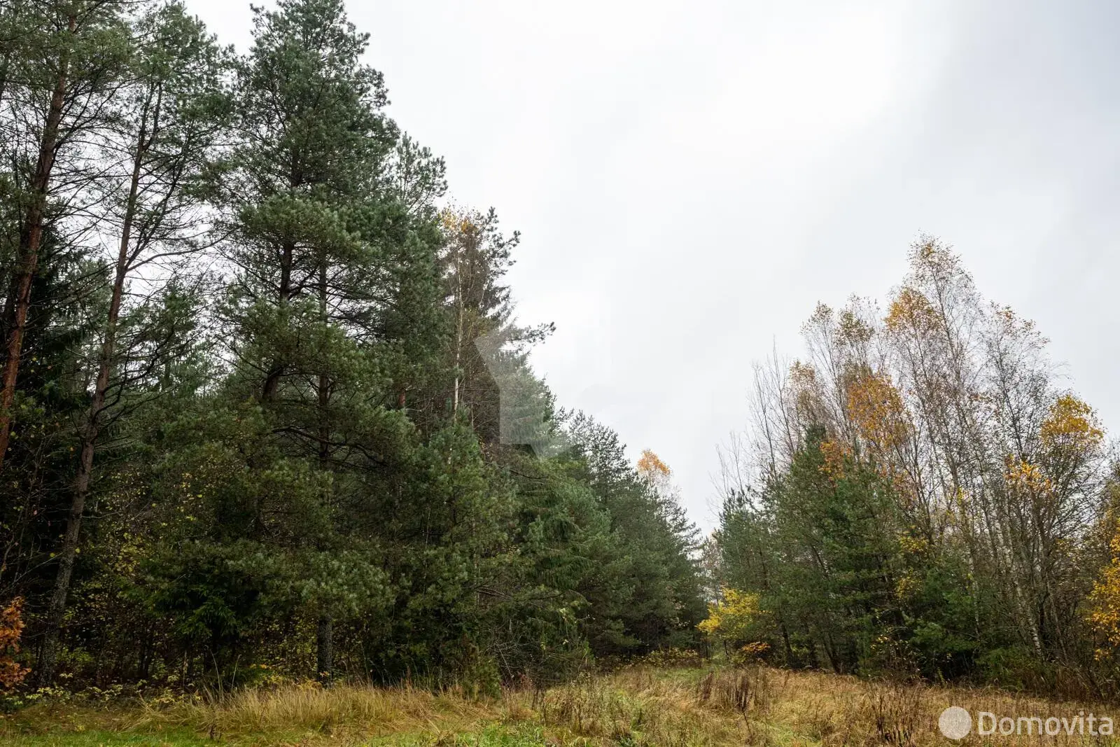 Купить 2-этажную дачу в Зеленый дол Минская область, 55000USD, код 184620 - фото 32