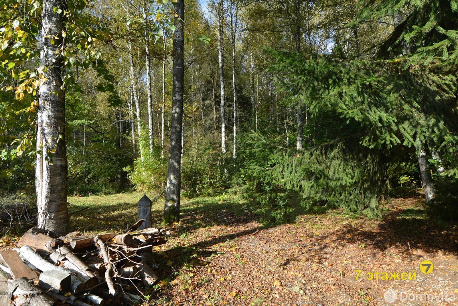 Купить 2-этажную дачу в Сосны-Сад Минская область, 78400USD, код 184335 - фото 32