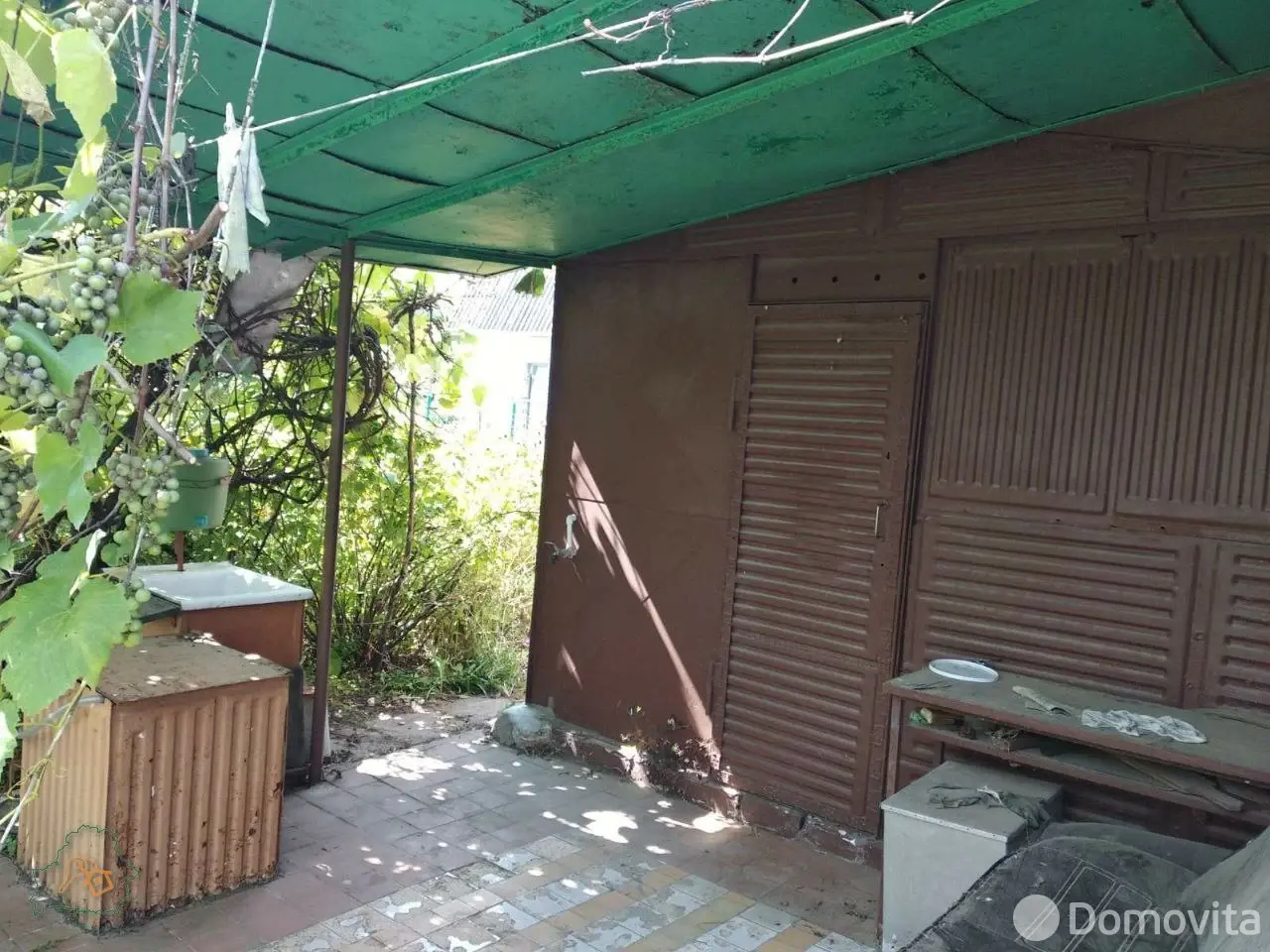 дача, Репка, 