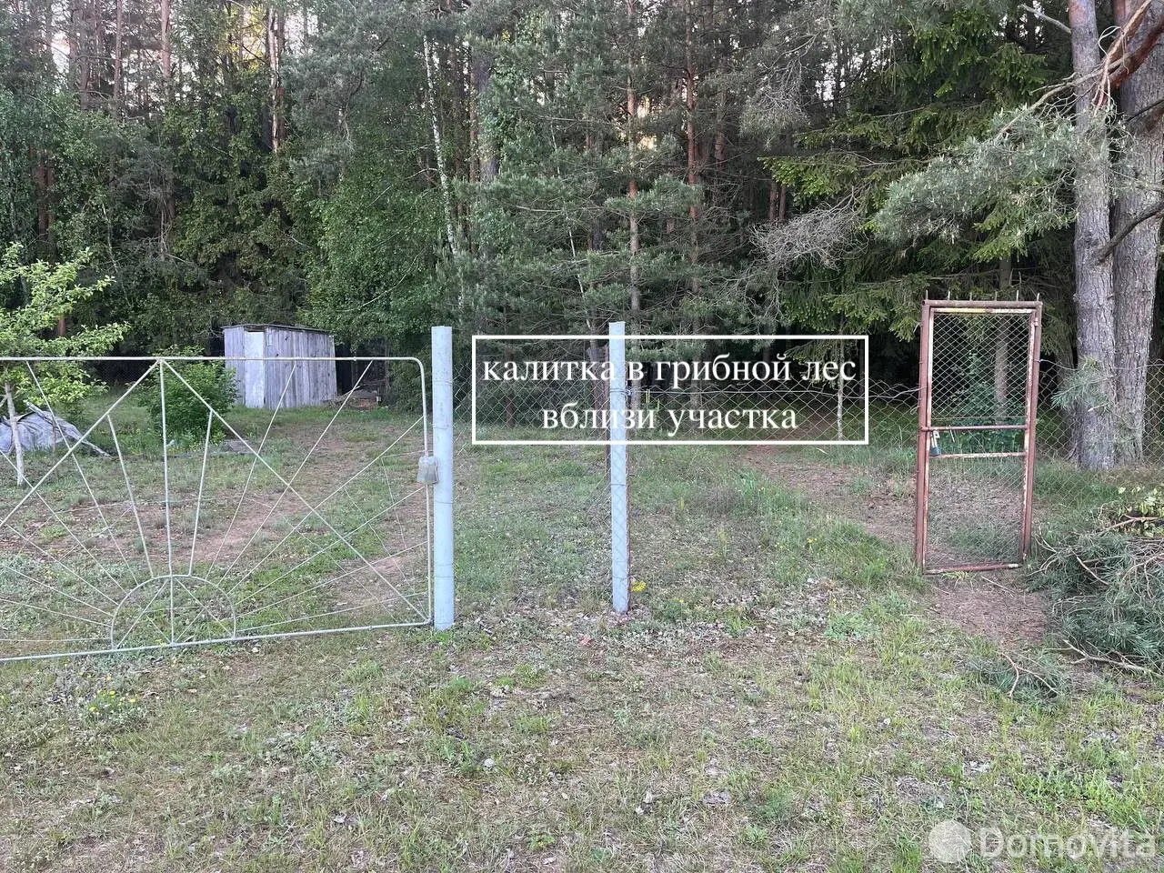 Продажа 1-этажной дачи в Неман-94 Минская область, 4000USD, код 182976 - фото 14