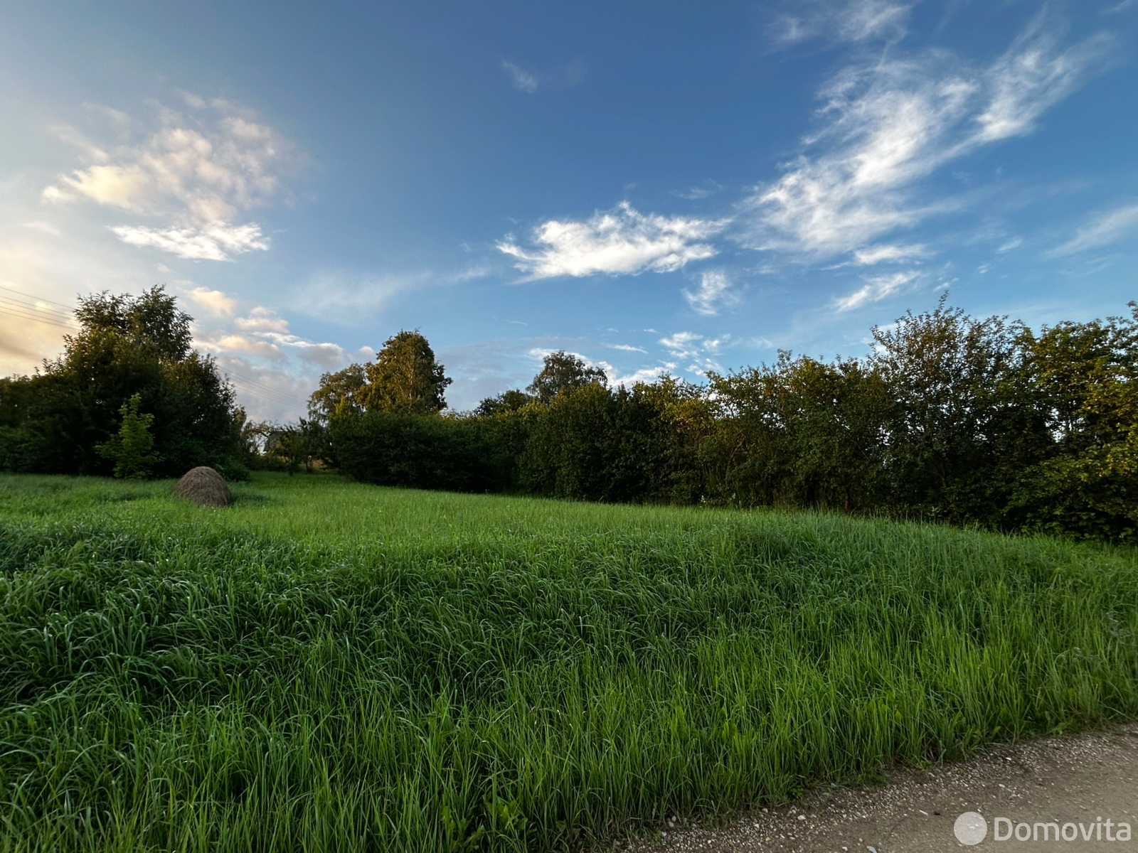 участок, Ольгово, ул. Южная, д. 5