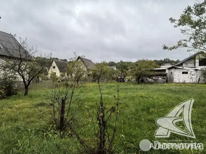 участок, Урожай ОАО Брестхлебопродукт, 