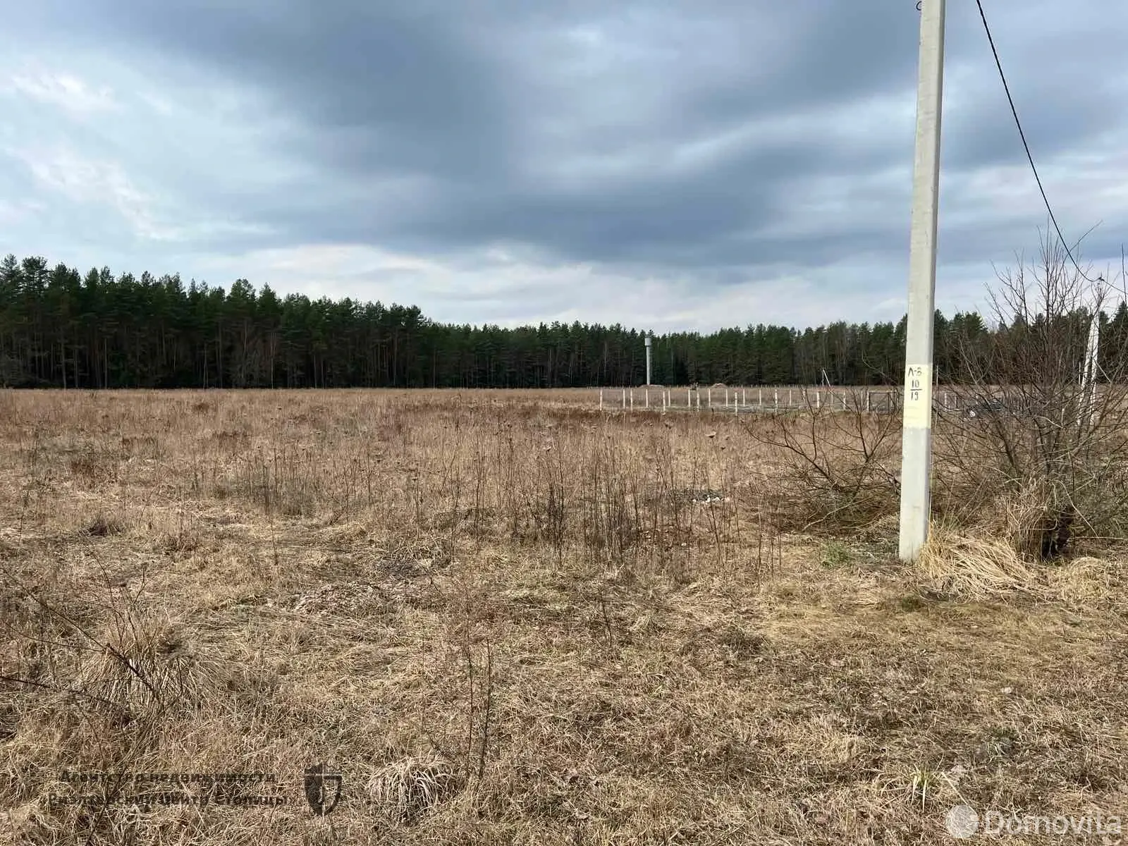 Купить земельный участок, 45 соток, Будачи, Витебская область, 15000USD, код 570018 - фото 11