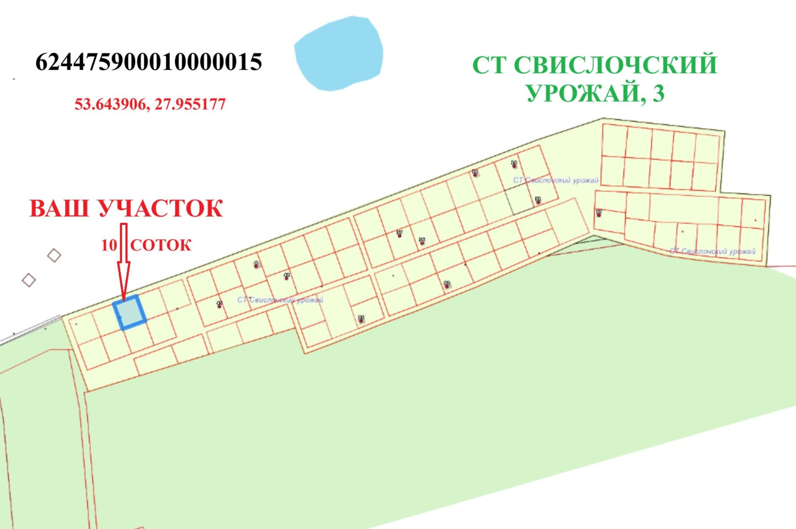 Купить земельный участок, 9.88 соток, Свислочский урожай, Минская область, 3700USD, код 571608 - фото 7