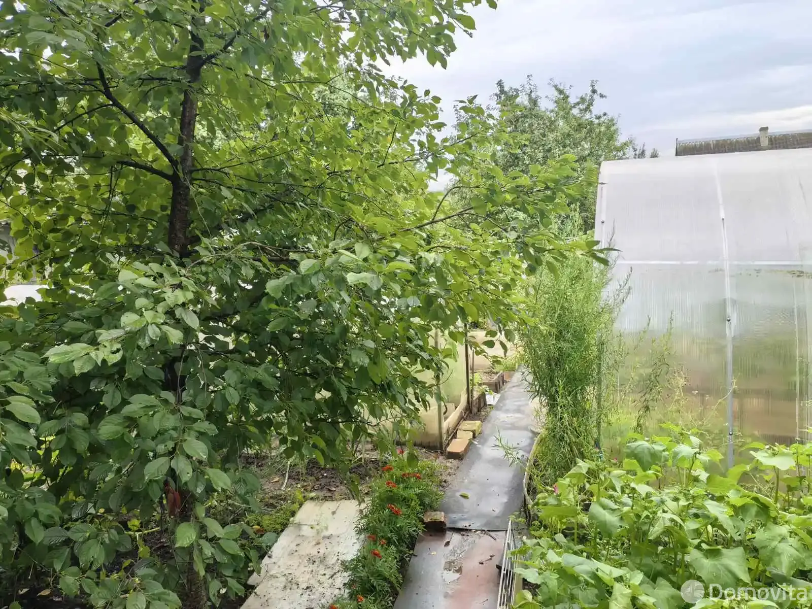 Купить 2-этажную дачу в Лущихе Витебская область, 15300USD, код 184031 - фото 18