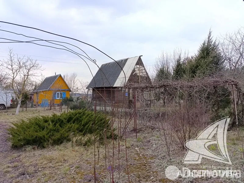 Купить 1-этажную дачу в Полянка-1 Брестская область, 10500USD, код 181984 - фото 13