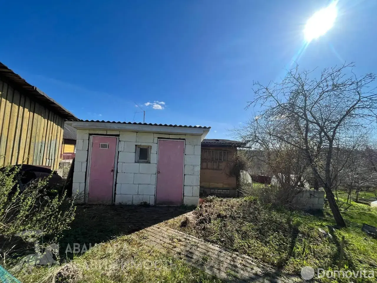 дача, Ромашка Соломореченская, 