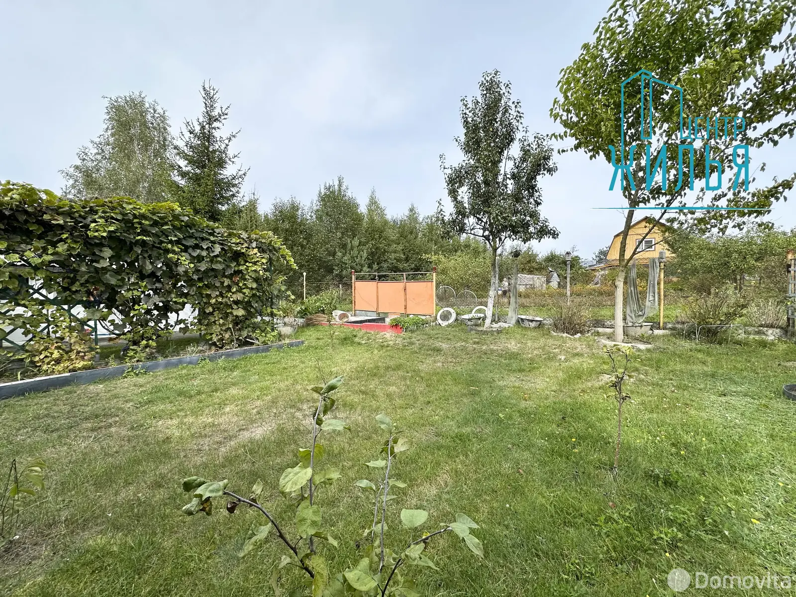 Продажа 1-этажной дачи в Крушина Гродненская область, 60000BYN, код 184247 - фото 46