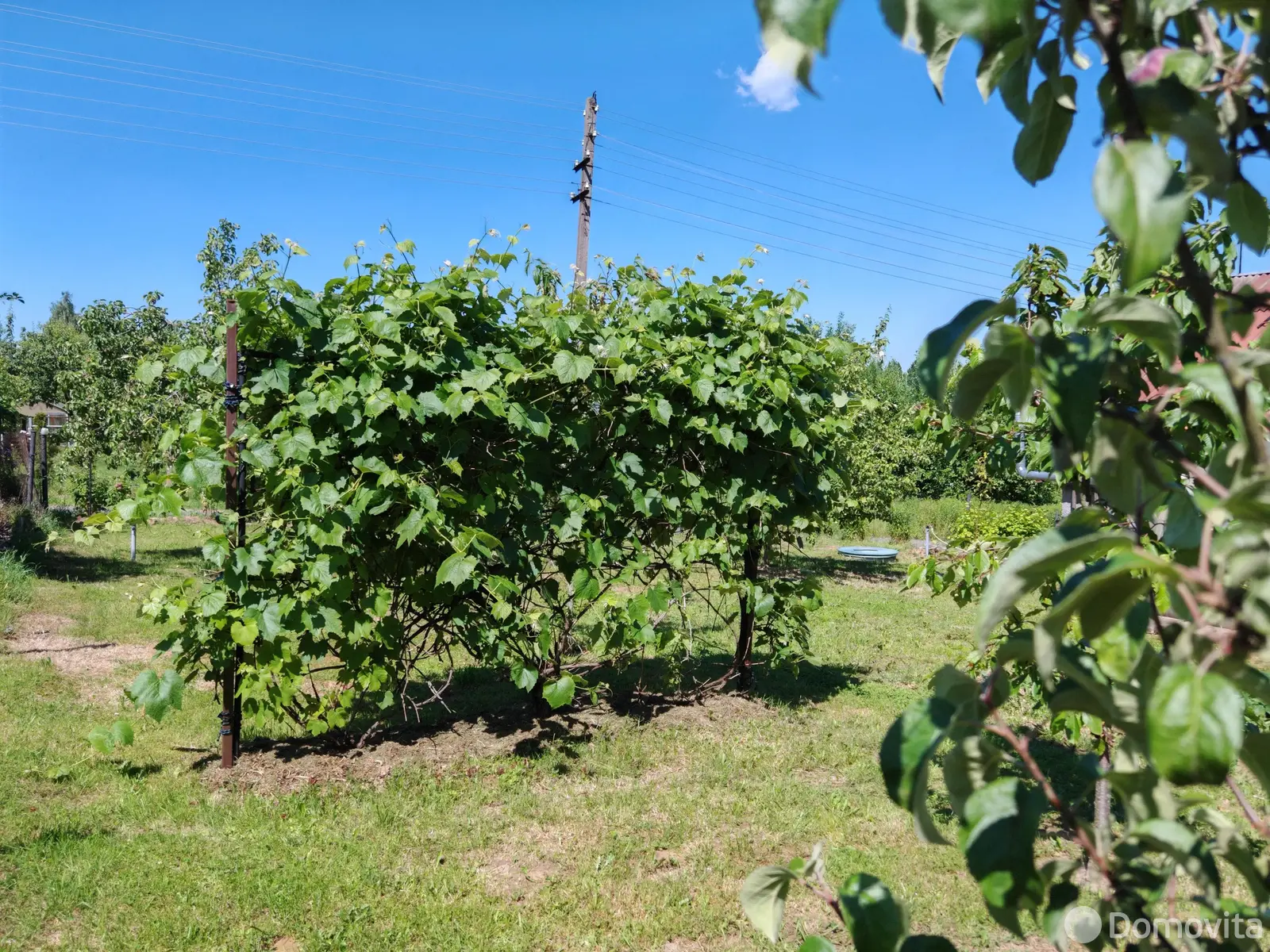 Купить 2-этажную дачу в Лесное-90 Минская область, 39000USD, код 183461 - фото 20