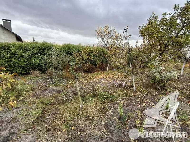 Продажа 1-этажной дачи в Машиностроитель Брестская область, 42000USD, код 184448 - фото 14