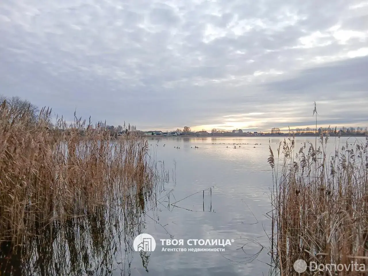 Купить 2-этажную дачу в Малых Гороховищах Минская область, 17500USD, код 184703 - фото 18